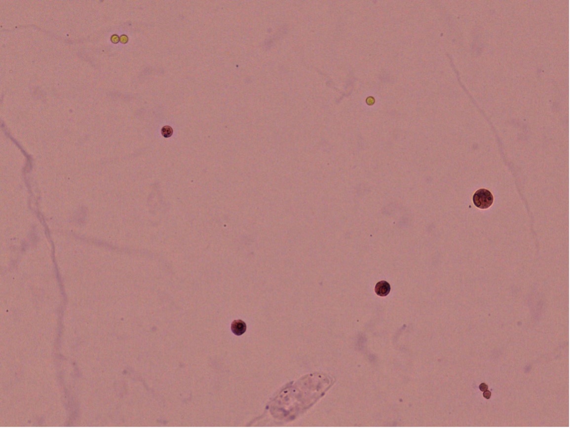 Case 2-2